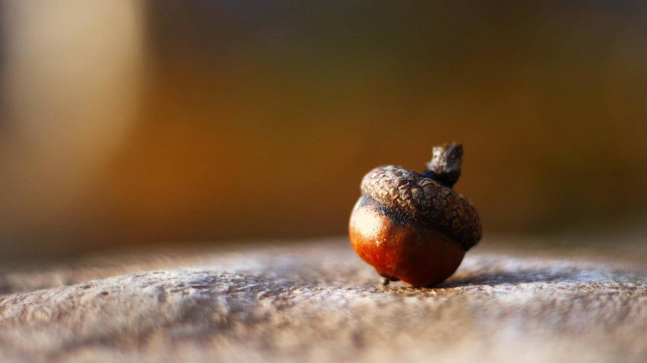 日本苹果id注册。。求大神指导下 这个是 ， 苹果手机日区怎么注册id帐号?  - 55dz账号网