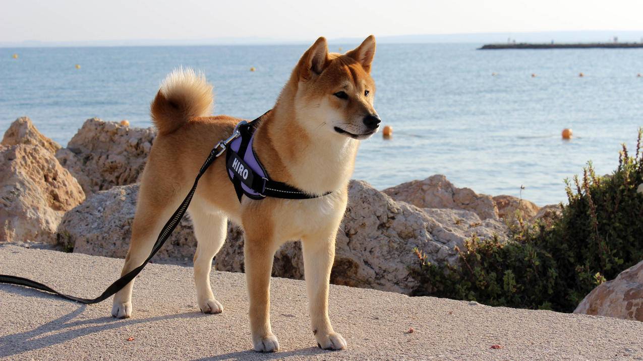 怎么获得个人邮箱账号_怎样获得邮箱账号 - gmail相关 - 55dz账号网