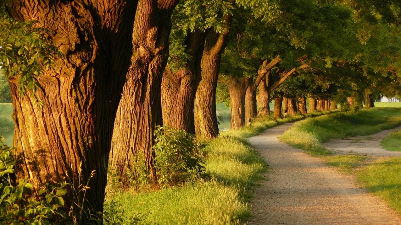 ios怎么玩美服游戏_ios怎么玩美服游戏不卡 - 美国苹果ID - 55dz账号网