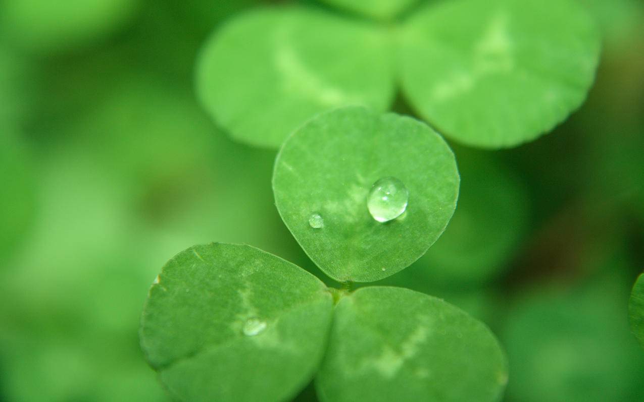 如何更改apple id的电子邮箱地址 ， 如何更改Apple ID的登录邮箱  - 55dz账号网