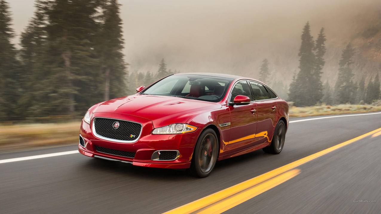 怎么隐藏或显示谷歌浏览器中的书签栏  ( 谷歌浏览器保存的书签在哪里 ) - 55dz账号网