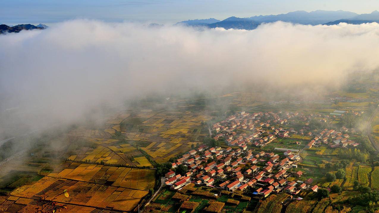 下载抖音火山版小视频_下载抖音火山版小视频最新版 - 注册外服方法 - 55dz账号网