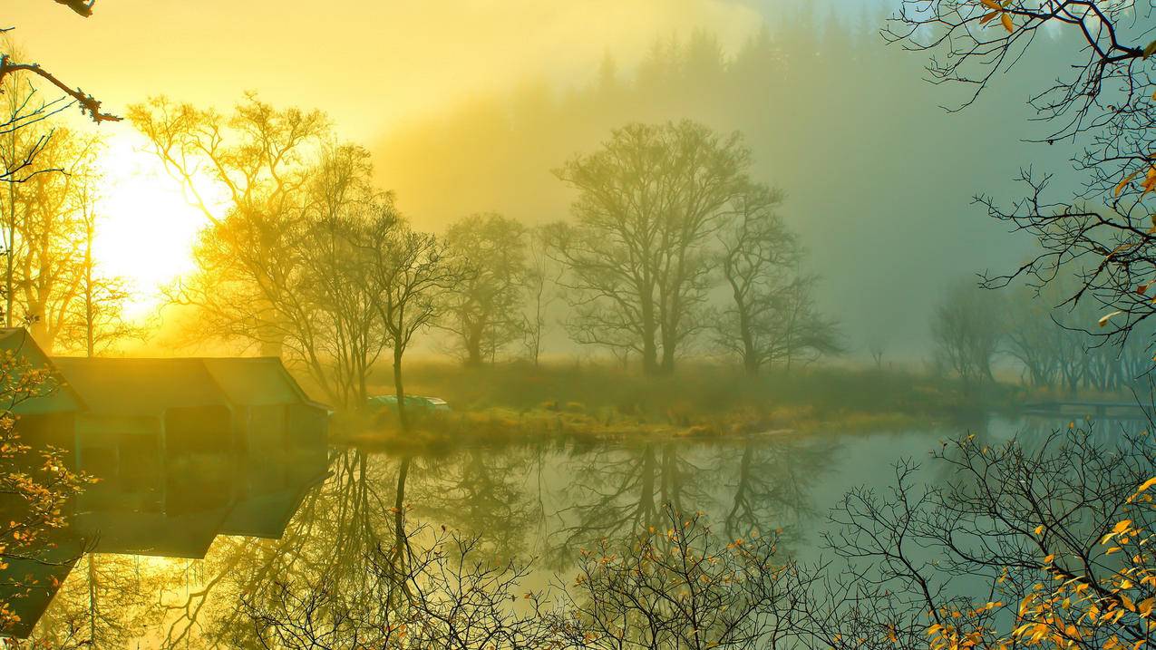 小红书如何上门取件发货？操作步骤详解 - 网络资讯 - ks业务下单