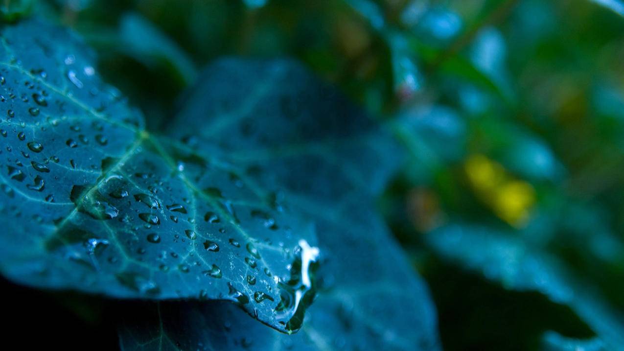 抖音卡盟三万一元 - 超低价名片赞,qq免费赞网站免费网站福利区,抖音双击自助下单平台24小时,ks刷赞刷粉丝播放量代刷网