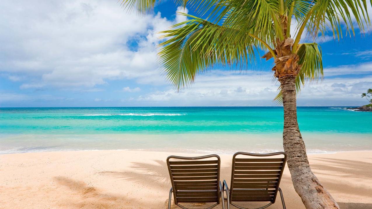 华为手机下载推特视频_华为 下载推特 - tw相关 - 55dz账号网