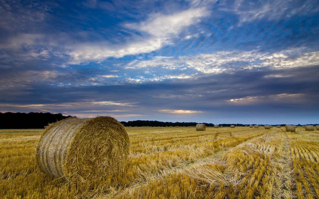 notability默认字体改不了_notability字体设置 - IOS分享 - 55dz账号网