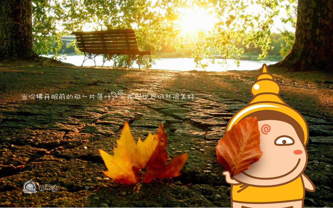 淘宝买小火箭节点搜索什么  ( 小火箭节点哪里买靠谱 ) - 55dz账号网