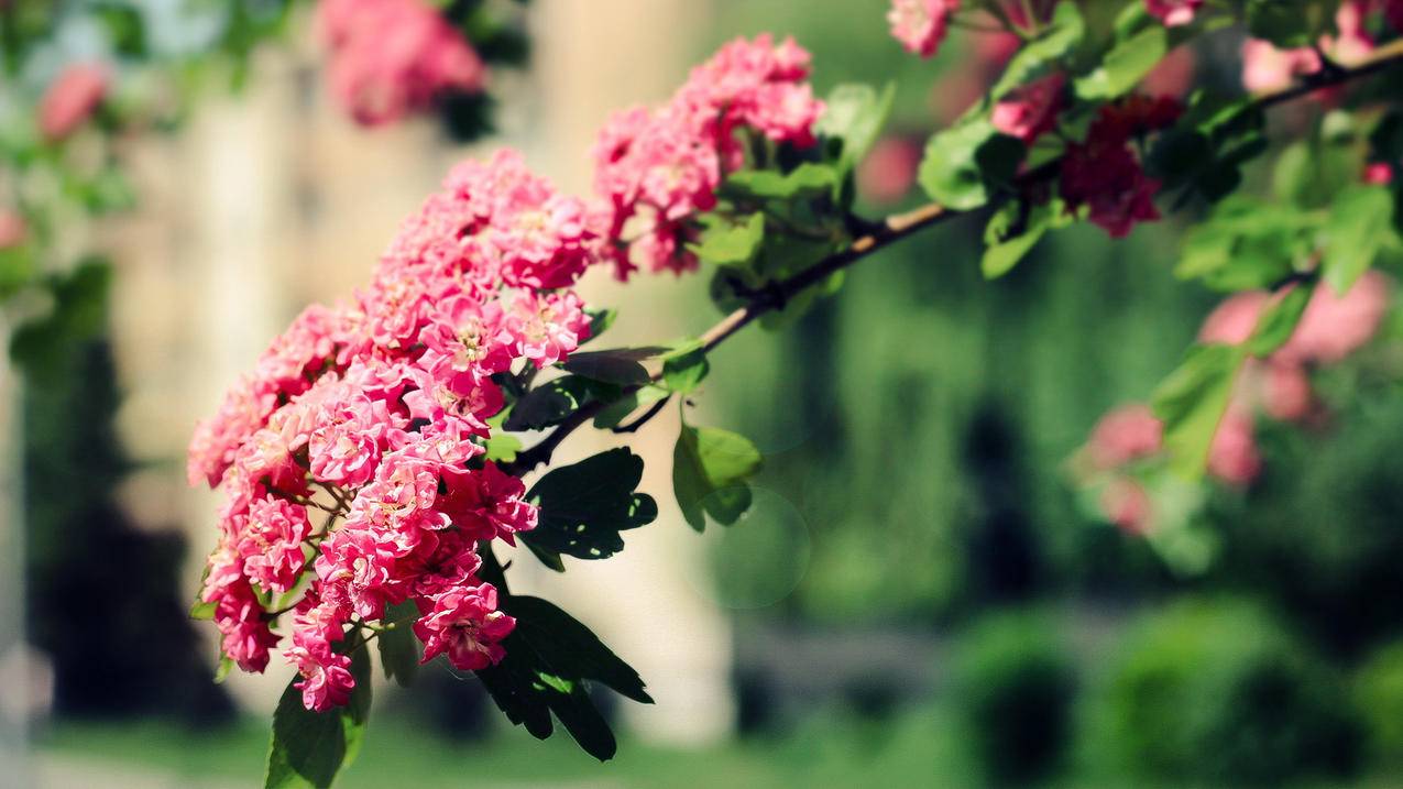 为什么抖音打字很快-dy业务网