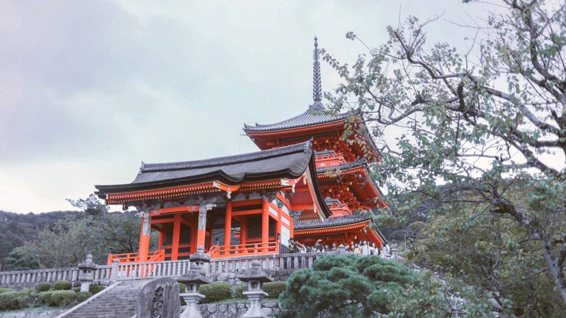 注册日本苹果id可以不用真实名字吗_注册日本苹果id可以不用真实名字吗 - 日本苹果ID - 55dz账号网