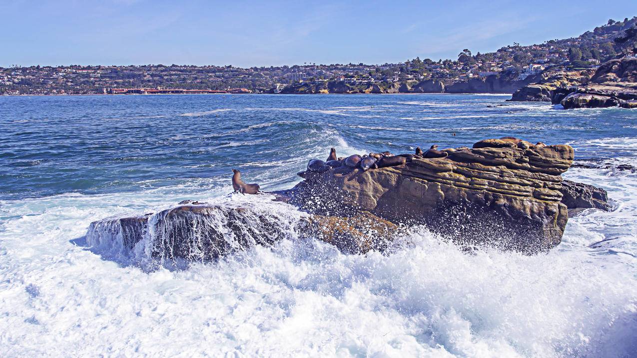 腥城online解锁版_腥城online手游官网 - Line相关 - 55dz账号网