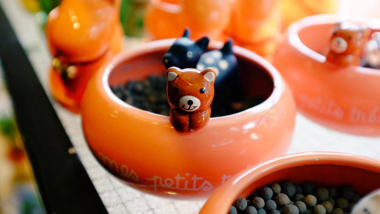 韩国苹果id可以注销掉重新设置吗_韩国苹果id可以注销掉重新设置吗 - 韩国苹果id - 55dz账号网