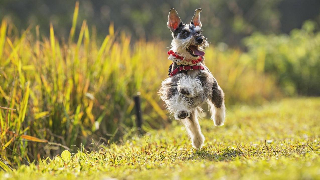 千川如何获得精准流量？ - 低价业务 - dy业务网