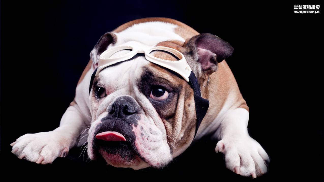 日服碧蓝档案怎么登录_碧蓝档案日服wiki - 日本苹果ID - 55dz账号网