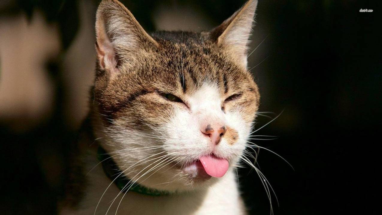 台湾苹果id登陆不上怎么回事_苹果id登录不上去怎么办 - 台湾苹果ID - 55dz账号网