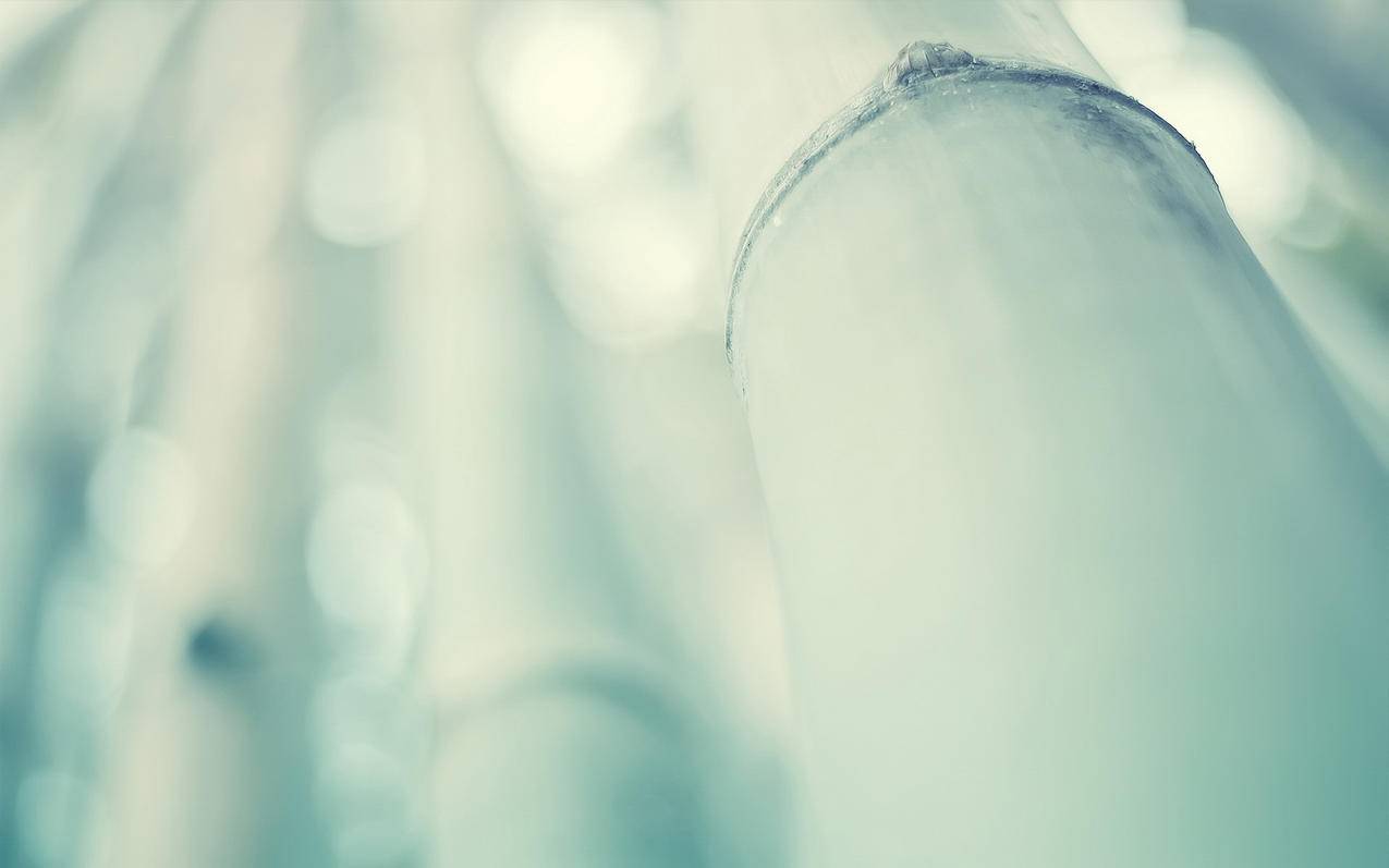 推特@后面的名字是什么_推特的别名 - tw相关 - 55dz账号网