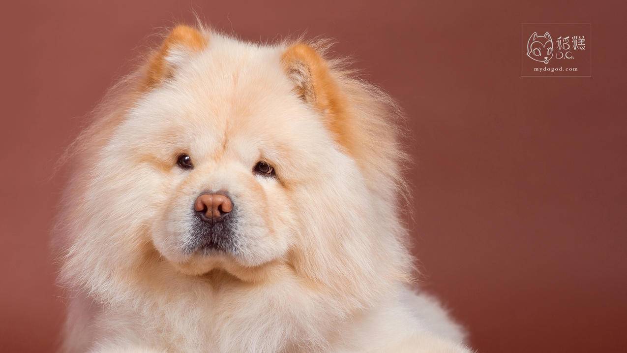 小学怎么提数学问题并解答 - 小学教育 - ks24小时自助