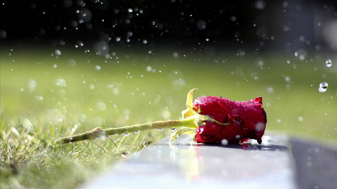 nba2kol2自建三分pf加点_nba2kol2sf加点 - IOS分享 - 55dz账号网