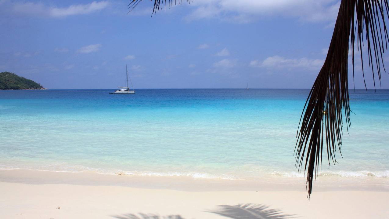 外国appleid共享账号密码20222月4日_apple id账号密码共享 - 各区苹果ID - 55dz账号网