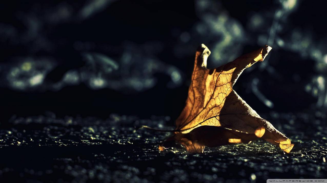 linux方向有哪些 - ks自助下单 - ks业务下单