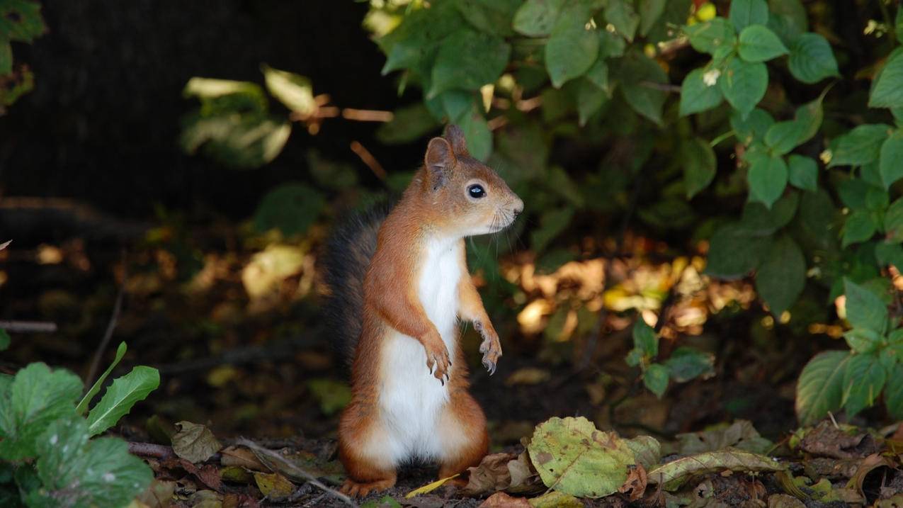 如何撤回小红书发过作品 - 自助平台 - dy业务网