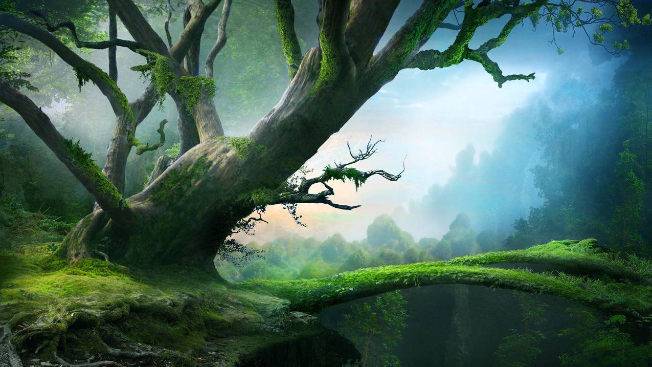 sharerides是什么意思_sharegrid - messenger相关 - 55dz账号网