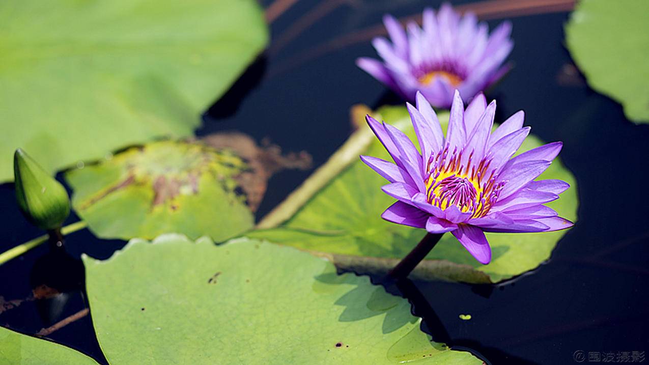 苹果id在别的设备登录了怎么办! ， 收到apple id异地登陆  - 55dz账号网