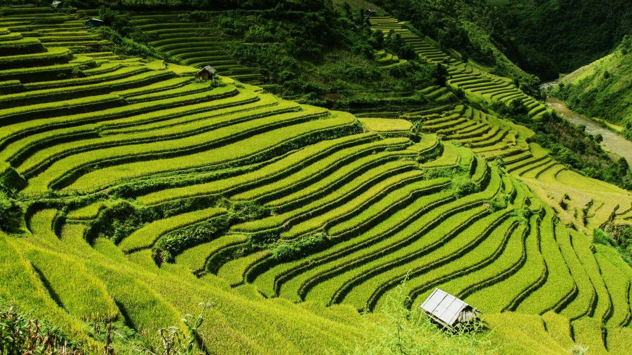 nikezoom登月23_nikezoom登月37代 - zoom相关 - 55dz账号网