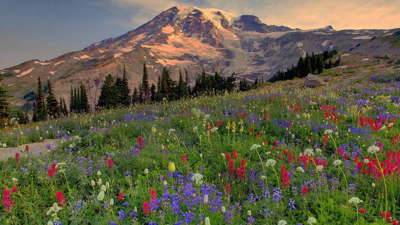 nba2k21脚下的图标怎么设置_nba2k21球员脚下图标 - IOS分享 - 55dz账号网