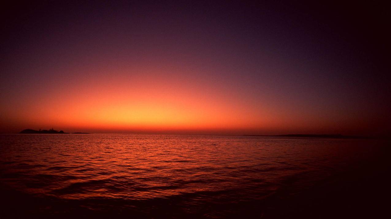 zoom怎么显示所有人的画面_zoom怎么显示所有人的画面不一样 - zoom相关 - 55dz账号网