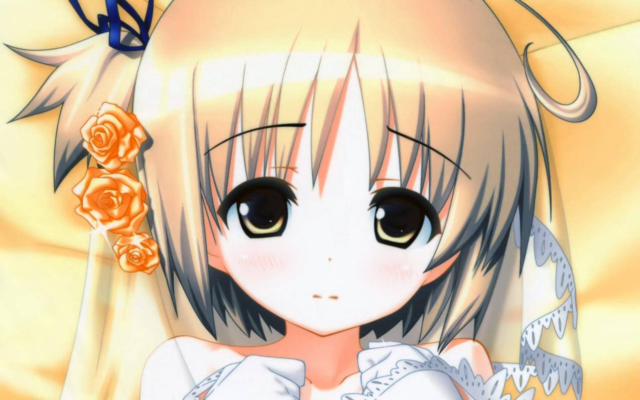 tt语音账号说苹果id绑定过其他账号 ， 两个苹果手机同一ID账号下第三方聊天软件,聊天记录能相互同步吗?  - 55dz账号网