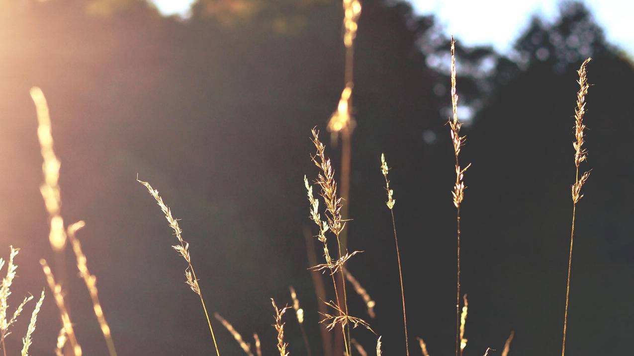 快手真人粉丝自助下单平台 - qq空间免费刷人气网址,qq免费刷赞平台超速代刷网,抖音粉丝自助代刷网免费