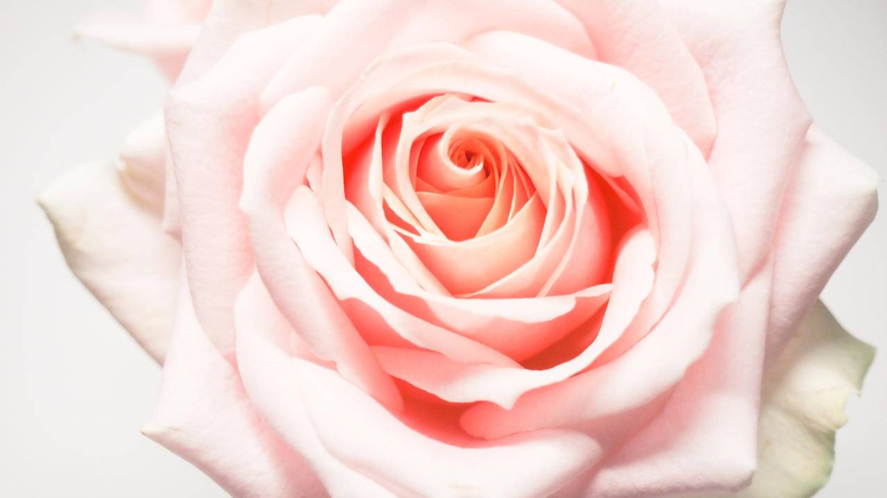 快手刷评论网站全网+最低价啊免费 - ks业务代刷低价双击10个,浩浩带刷网,皮皮虾刷赞网在线