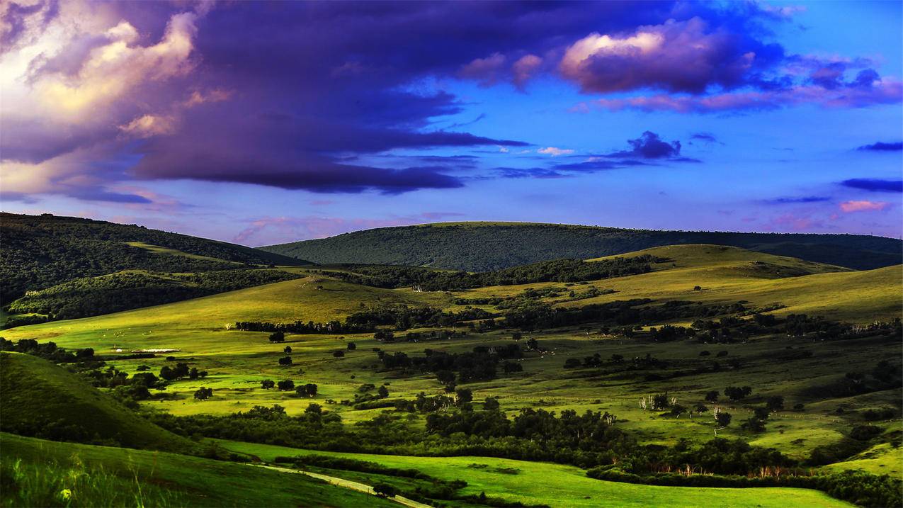 penalty怎么读_penalty的英文 - messenger相关 - 55dz账号网