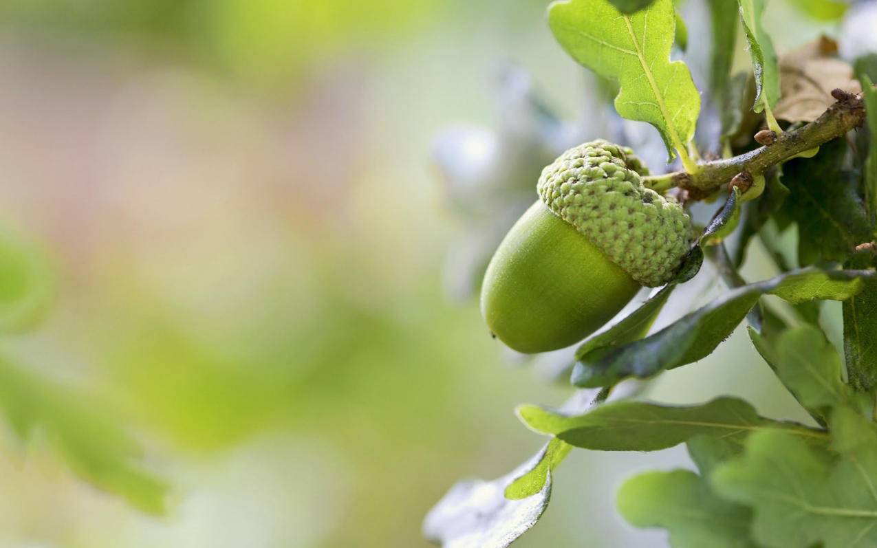 如何查驾驶证还有多少分_如何查驾驶证还有多少分交管12123 - gmail相关 - 55dz账号网