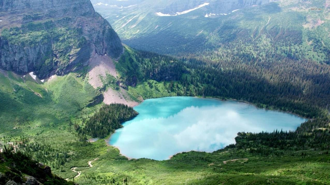 SSL连接出现问题怎么办?  ( 电脑管家的小火箭开启不了 ) - 55dz账号网