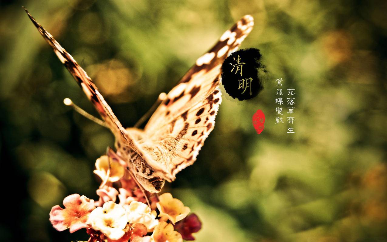 如何关闭日本苹果id开通的腾讯视频自动续费的简单介绍 - 日本苹果ID - 55dz账号网