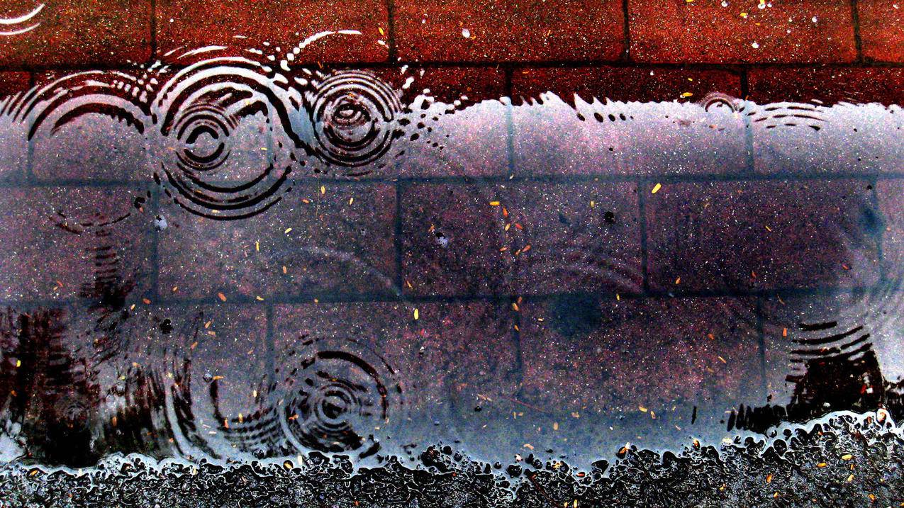 messenger铃声文件_铃声 文件夹 - messenger相关 - 55dz账号网