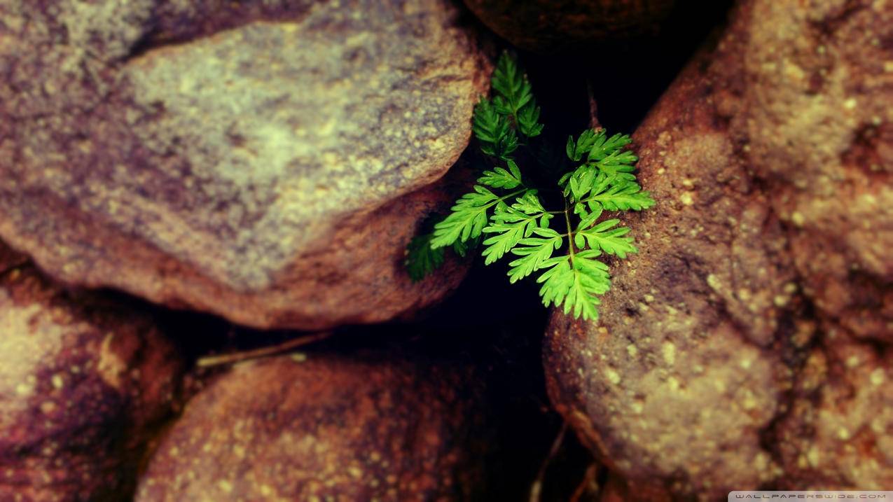 天津市油管厂_天津市油管厂属于天福集团 - youtube相关 - 55dz账号网