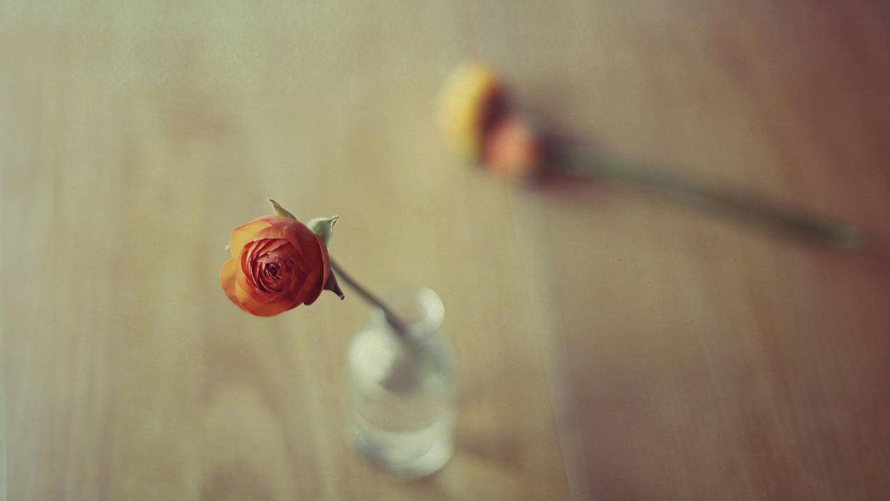 美服战网注册地址_美服战网注册地址在哪 - 美国苹果ID - 55dz账号网