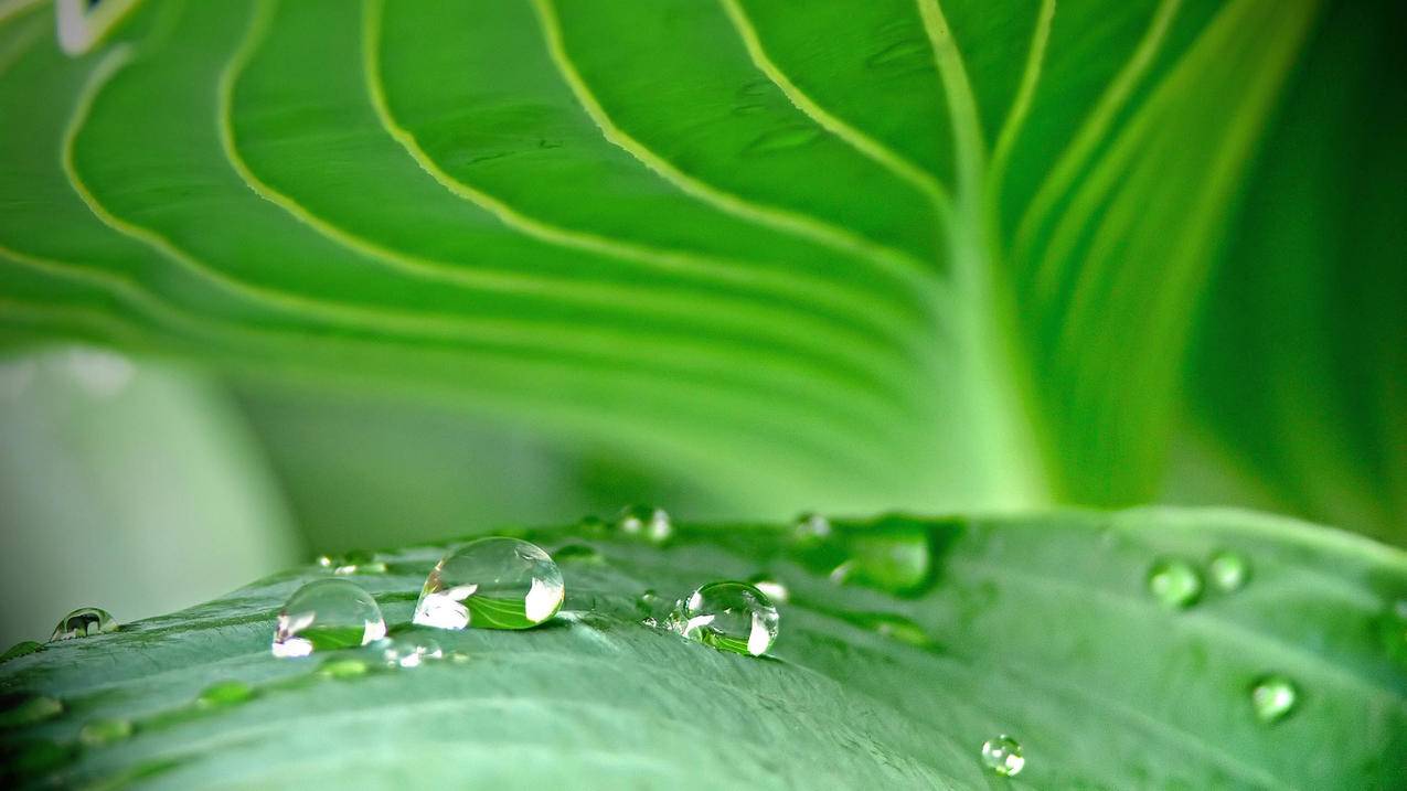 卡盟网ceo-抖音3元100赞平台,刺激战场业务自助下单平台,快手业余代刷网站