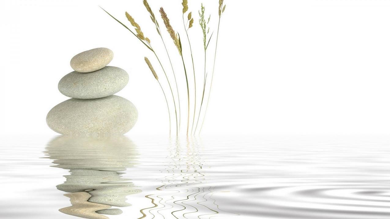 苹果手机连接小火箭时出现ss错误怎么解决  ( shadow rocket不能用了? ) - 55dz账号网