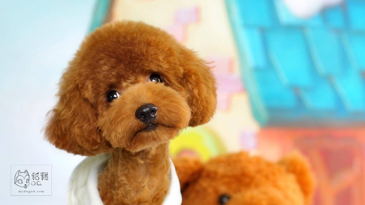 越南apple id后面字母 - 各区苹果ID - 55dz账号网