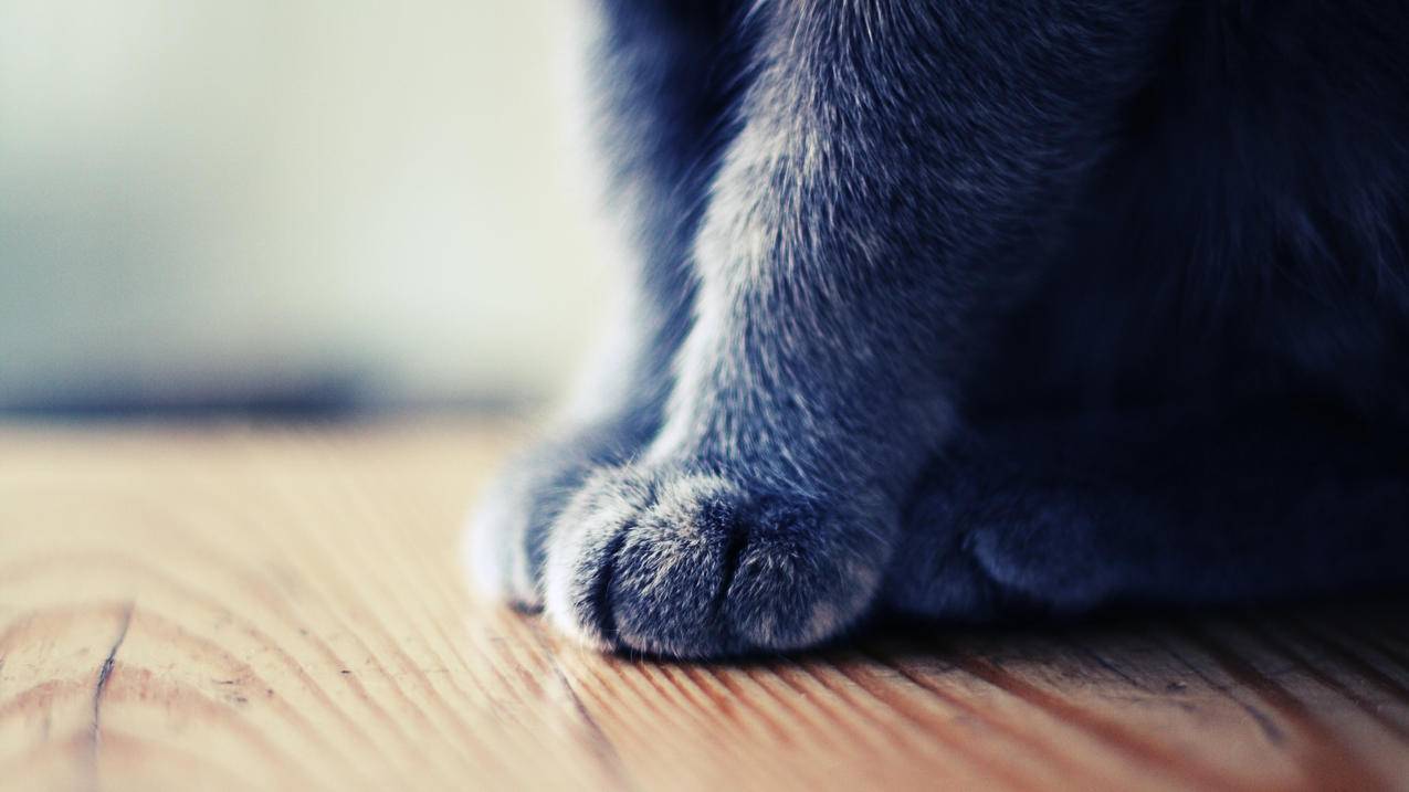 韩国appleid充值了能退款吗_苹果id充值能退款吗 - 韩国苹果id - 55dz账号网