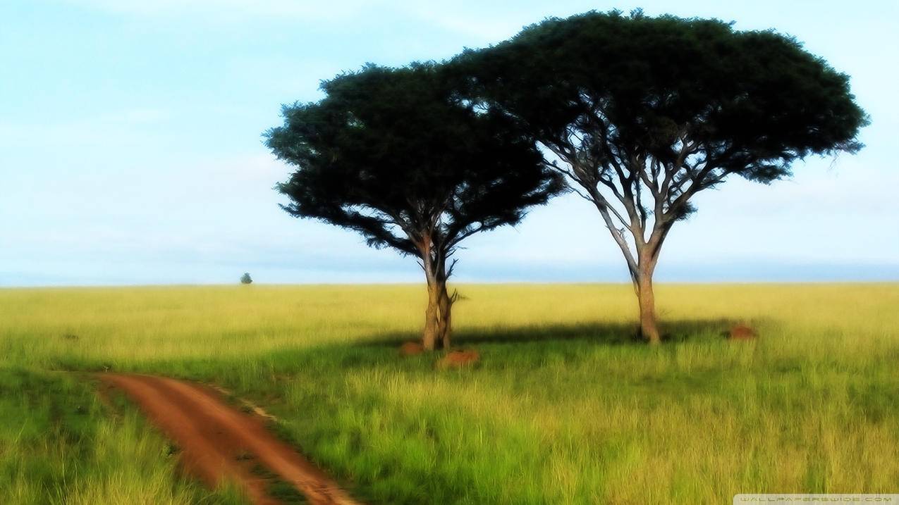 nba2konline2满突自建要多少精华_nba2konline2满突乔丹 - Line相关 - 55dz账号网