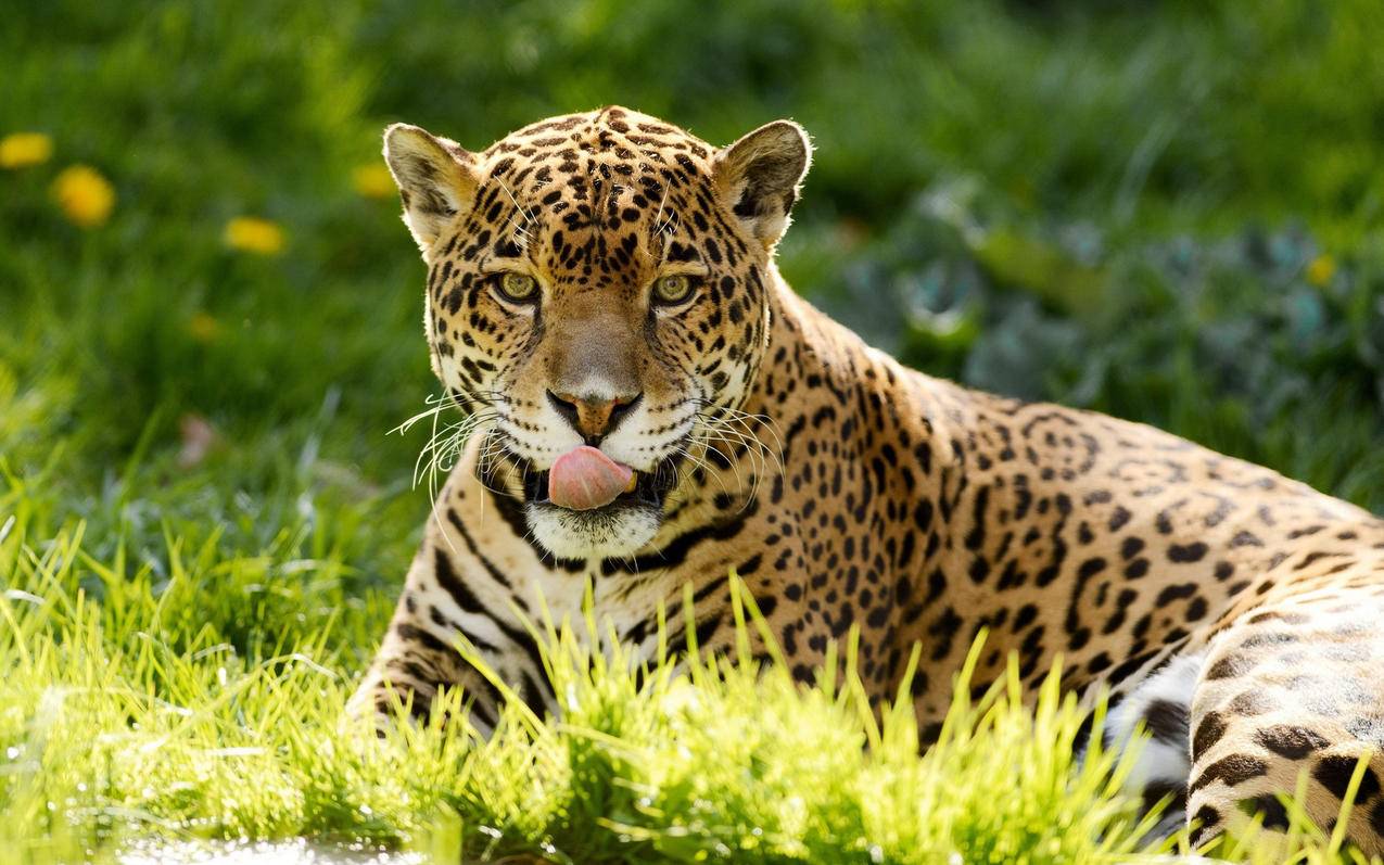 液压油缸油管接头型号_液压油管接头型号用什么字母表示 - youtube相关 - 55dz账号网