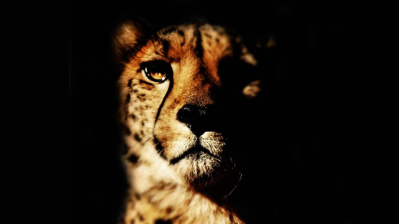 小火箭搭建节点能不能用自己家里的wifi  ( 小火箭节点可以几个人共用 ) - 55dz账号网