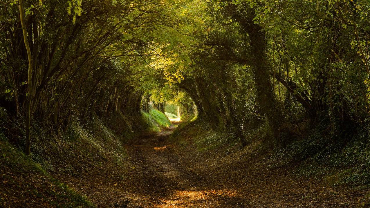 苹果电脑下载不了腾讯会议吗_苹果电脑下载不了腾讯会议怎么回事 - skype相关 - 55dz账号网