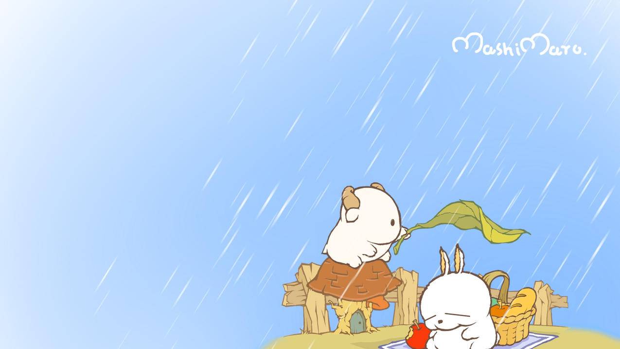 zoom的连接语音是什么意思_zoom的连接语音是什么意思 - zoom相关 - 55dz账号网