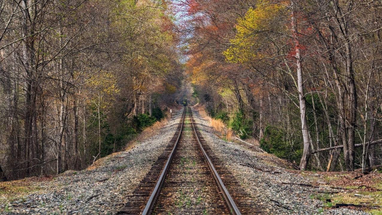 如何下载google浏览器在手机上_谷歌浏览器怎样下载在手机上 - google相关 - 55dz账号网