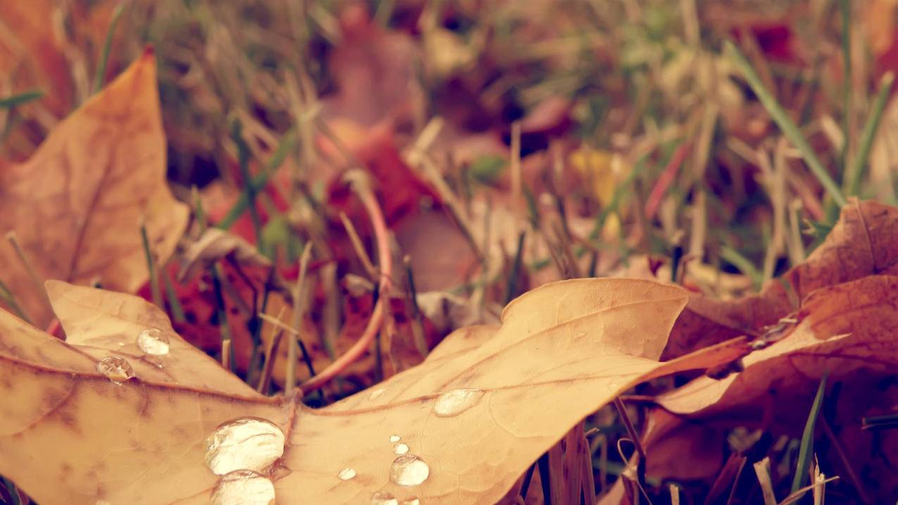 小火箭节点几块钱  ( 小火箭英文名全称 ) - 55dz账号网